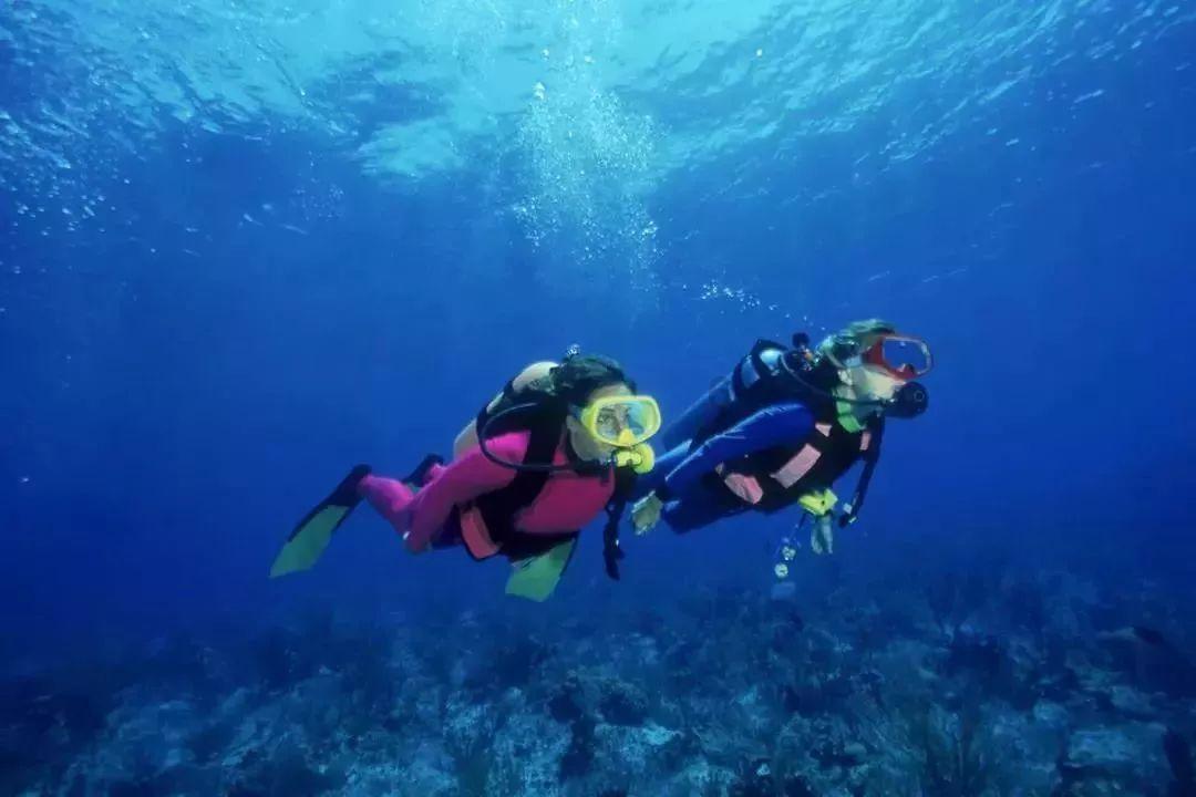 解锁知识的乐园—负氧离子能缓解过敏吗?